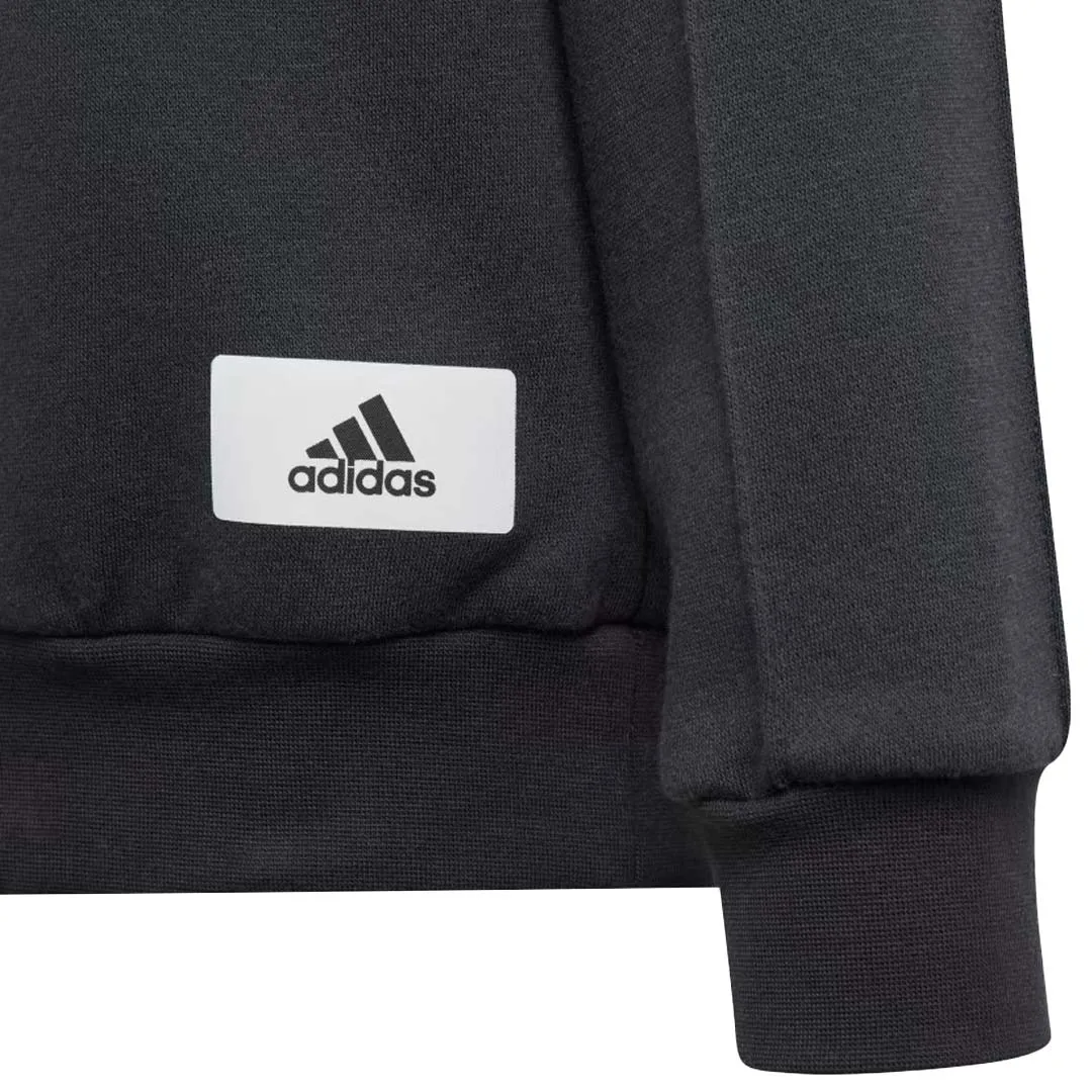 adidas - Kids' (Junior) The Safe Space Hoodie (IT4841)