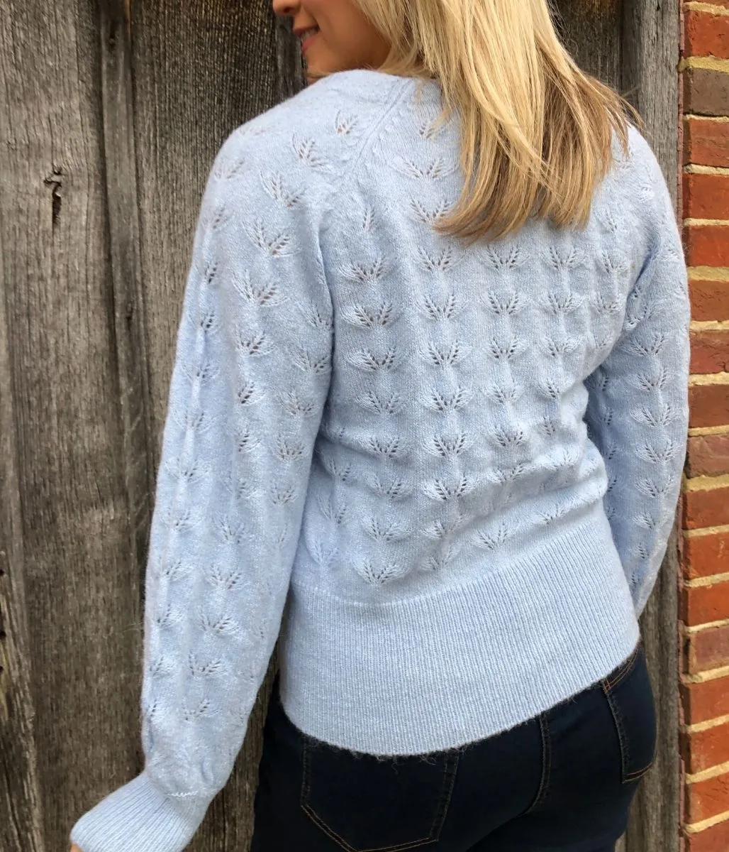 Blue Pointelle Knit Cardigan