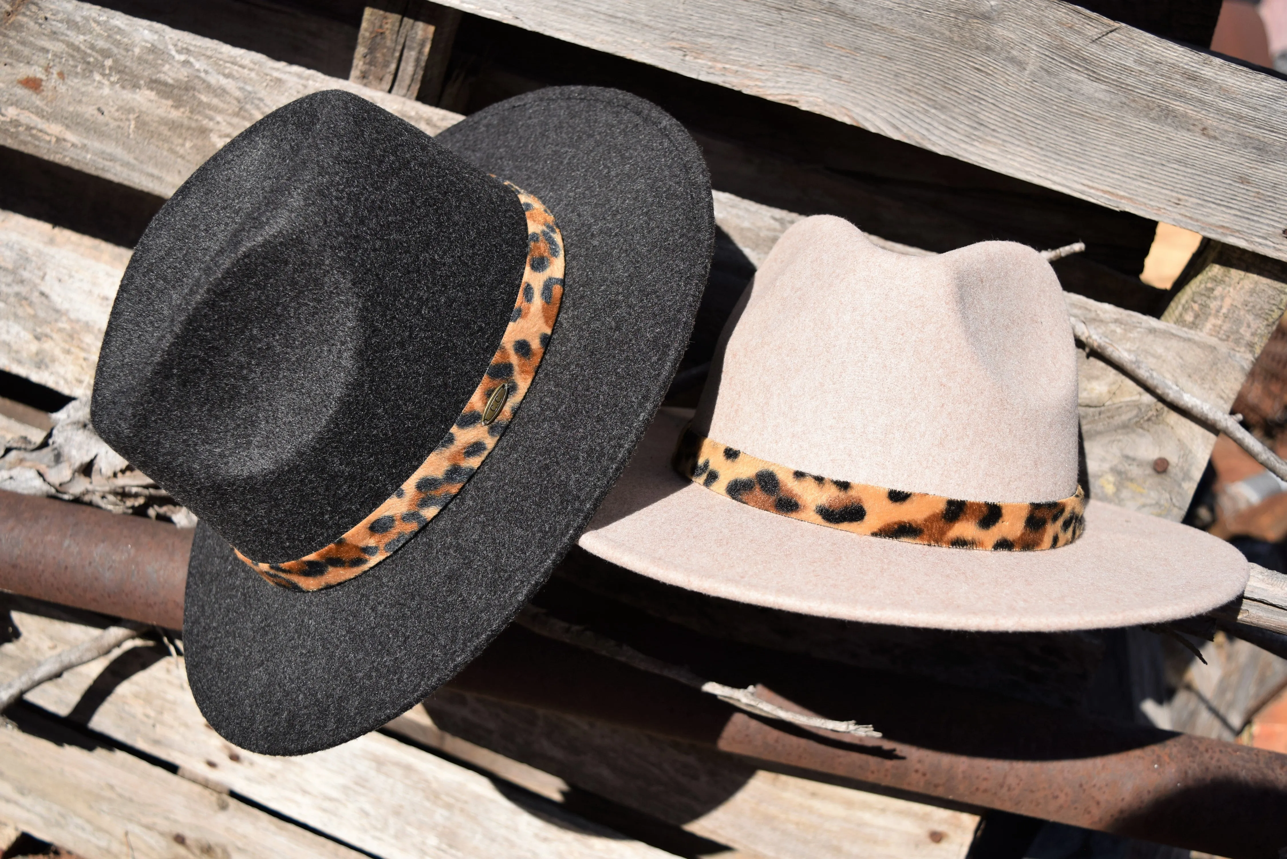 C.C. Leopard Trim Wool Felt Brim Hats