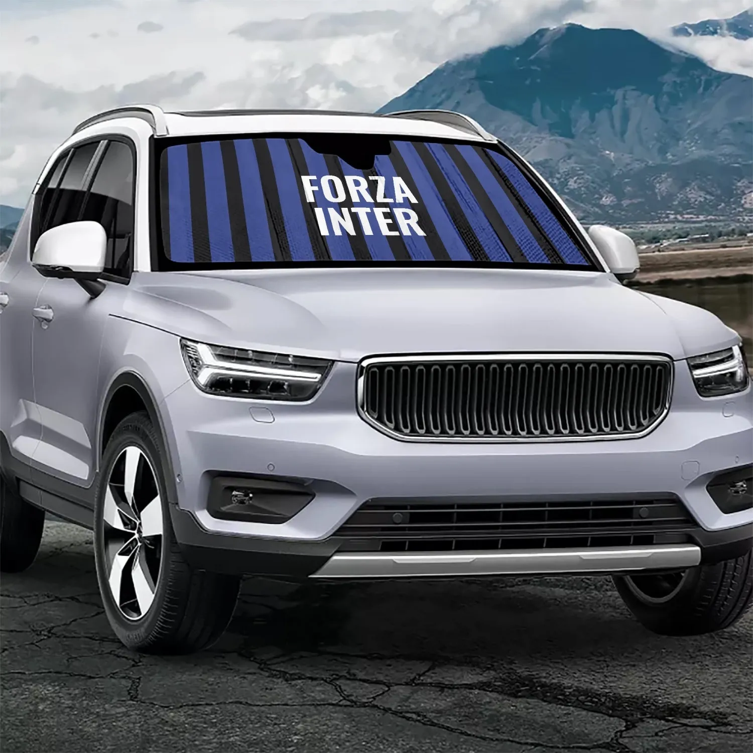 Forza Inter - Car Sun Shade