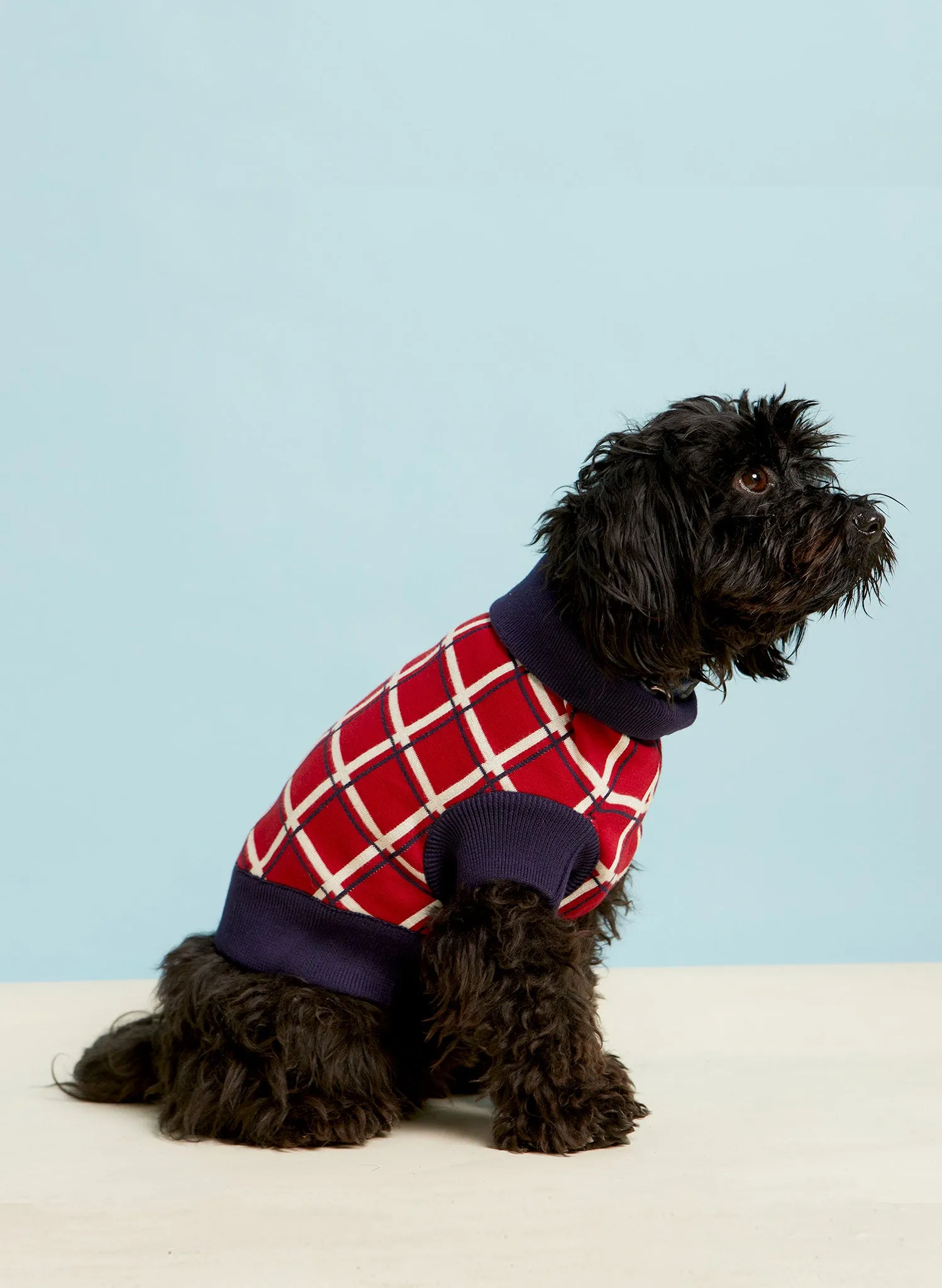 Rodney Dog Jumper - Red Tuck Shop